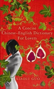 A Concise Chinese-English Dictionary for Lovers by Xiaolu Guo