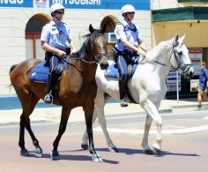 Mounted Police ex Geraldton Guardian