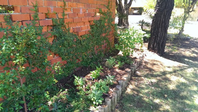 herb garden